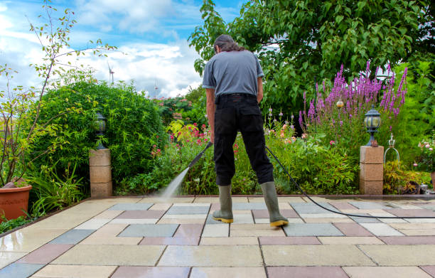 Animal Enclosure Cleaning in Basking Ridge, NJ