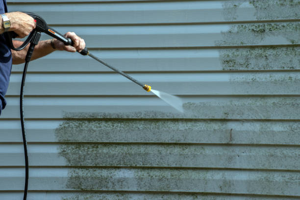 Best Gutter Cleaning  in Basking Ridge, NJ